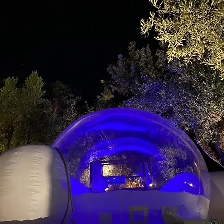 La Perle Paljasa