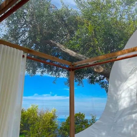 La Perle * Палас